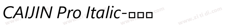 CAIJIN Pro Italic字体转换 CAIJIN Pro Italic字体转换
